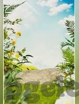 篮彩比分 足球-从篮彩到足彩,一场跨越球场的数字博弈与投资哲学