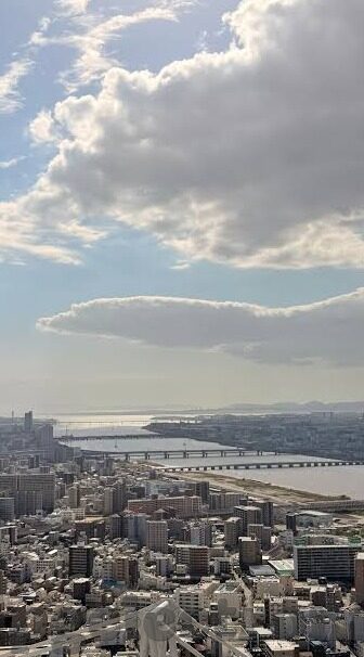 美超 足球 比分-美超足球风云，比分背后的激情与策略大揭秘
