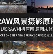 足球比分中英版-跨越语言的界限,足球比分中英版的魅力与价值
