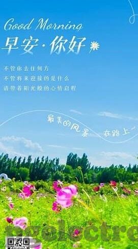 足球即时比分手机版-足球迷的福音,足球即时比分手机版,让你随时随地掌握赛场风云